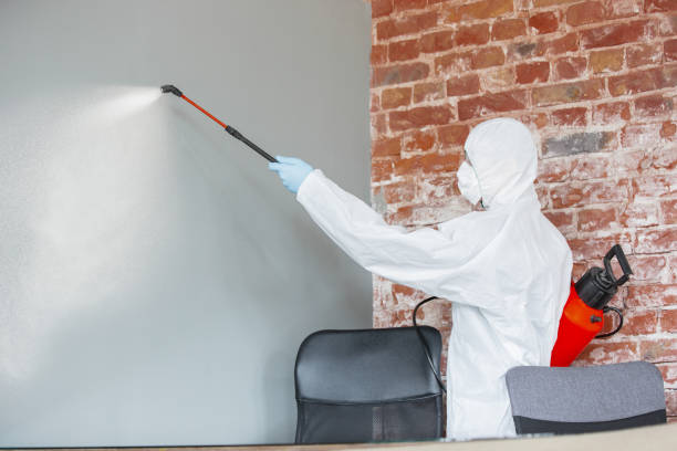 Best HVAC Mold Inspection and Cleaning  in , IL