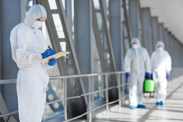 Best Black Mold Removal  in , IL