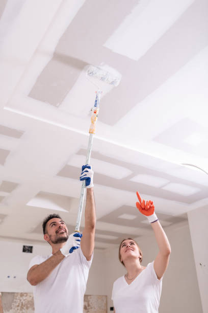 Best Comprehensive Air Testing for Mold Contaminants  in , IL