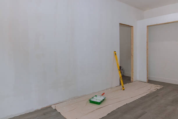  , IL Mold Removal Pros