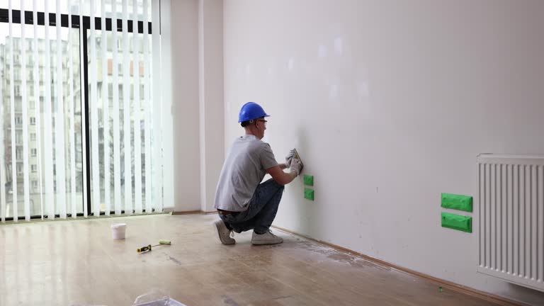 Best Mold Odor Removal Services  in , IL