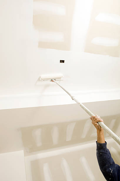 Best Post-Construction Mold Inspection  in , IL