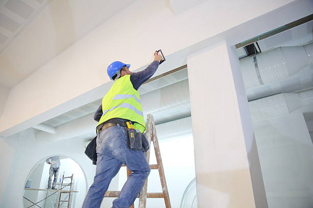 Best Water Damage & Mold Remediation  in , IL