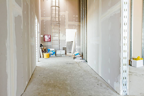 Best Industrial Mold Remediation  in , IL