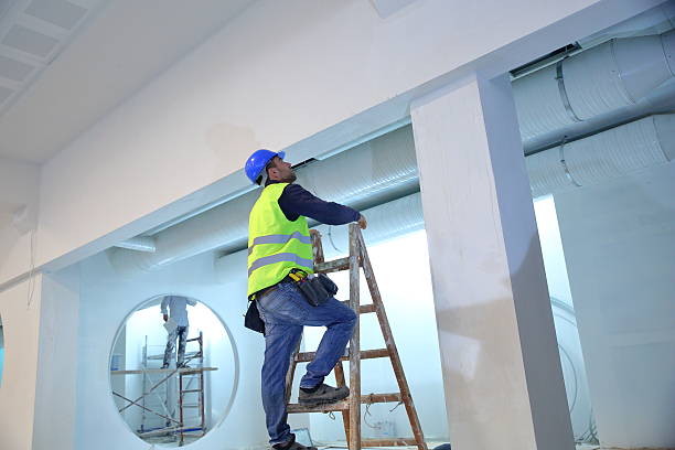 Best Residential Mold Inspection & Testing  in , IL