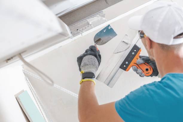 Best Mold-Related Health Consultation  in , IL